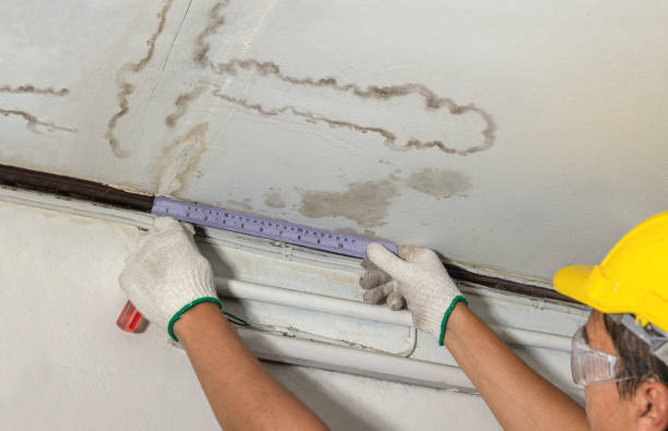 Reliable Mold Remediation contractor in Snover, MI by Water Damage Irwin